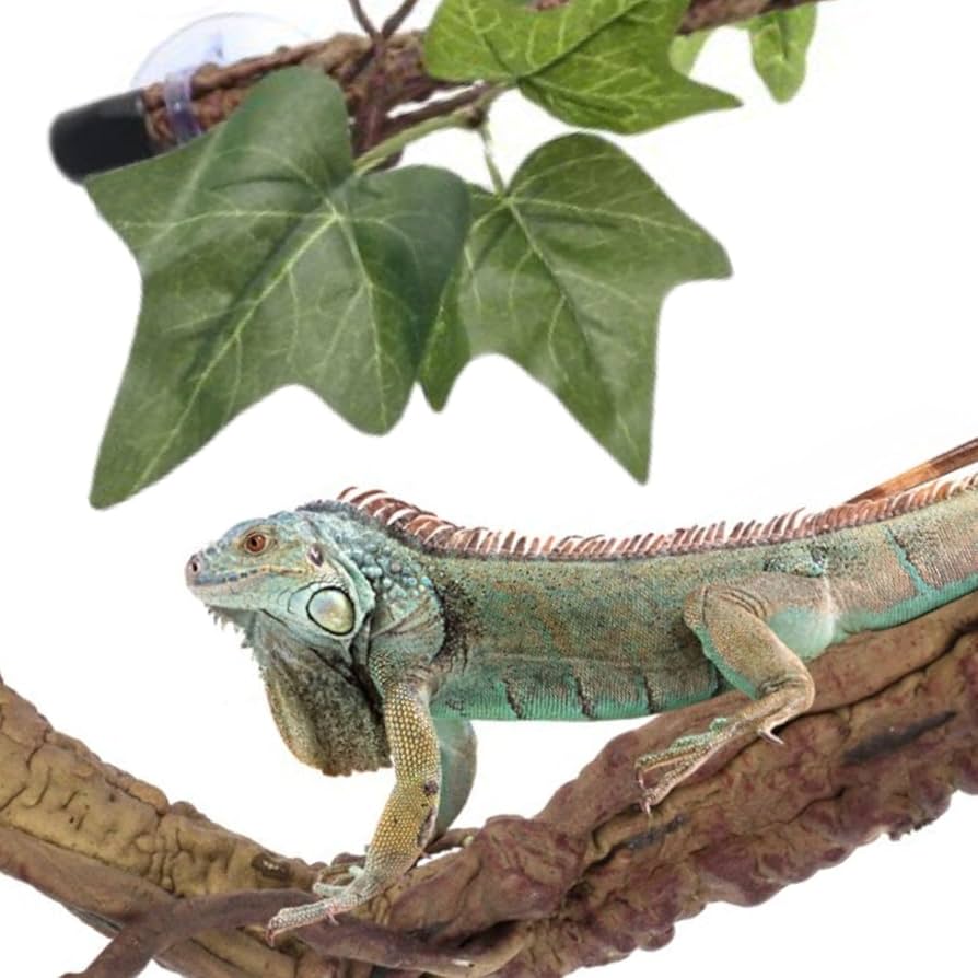 サバンナウッド　水槽インテリア　トカゲ　陸ガメ　爬虫類インテリアに　流木　古木 サバンナウッド 水槽インテリア トカゲ 陸ガメ 爬虫類インテリア